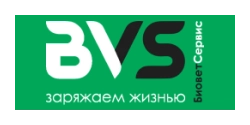 bvs