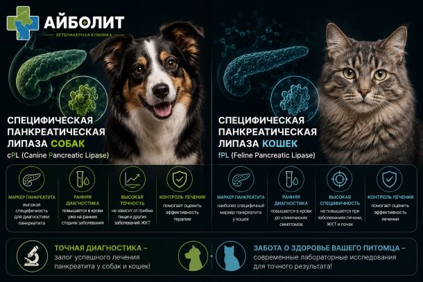 Специфическая панкреатическая липаза у собак cPl и кошек fPl
